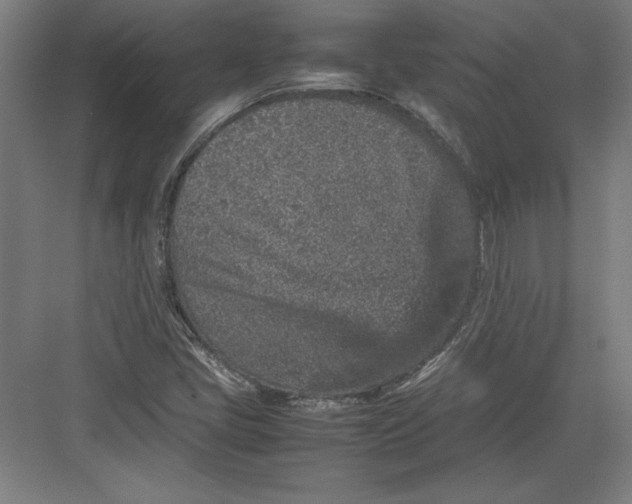 X0000082751405200702161947