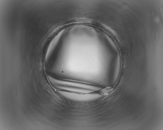X0000082751407200702161947