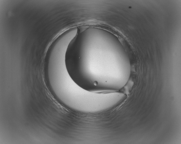 X0000082751410200702161948