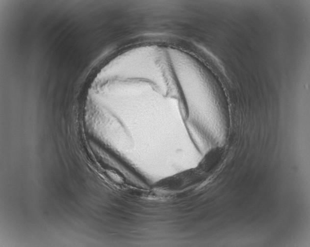 X0000082751411200702161948