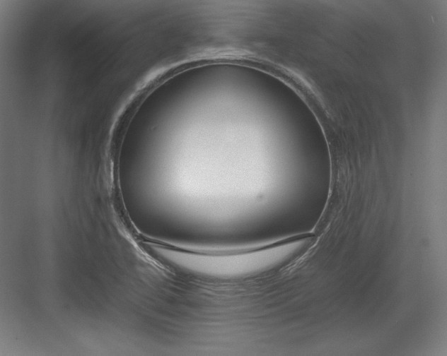 X0000082751414200702161948