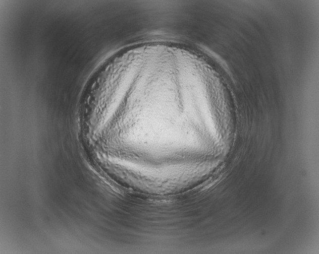 X0000082751415200702161948