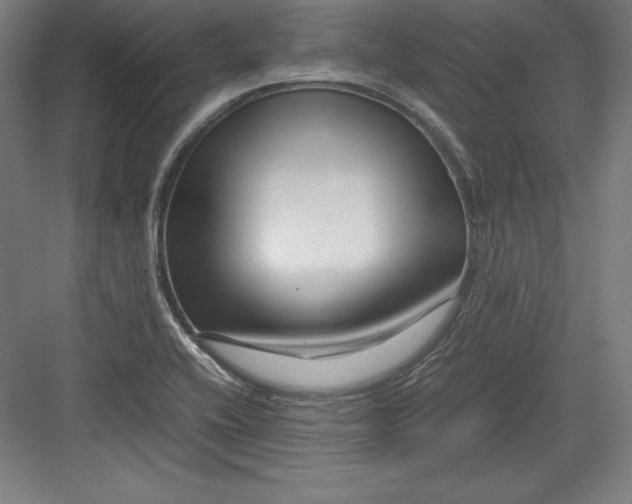X0000082751416200702161948