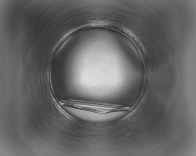 X0000082751417200702161948
