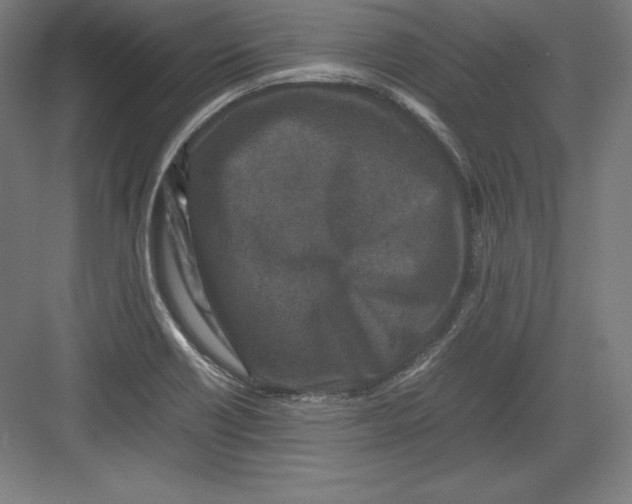 X0000082751418200702161948