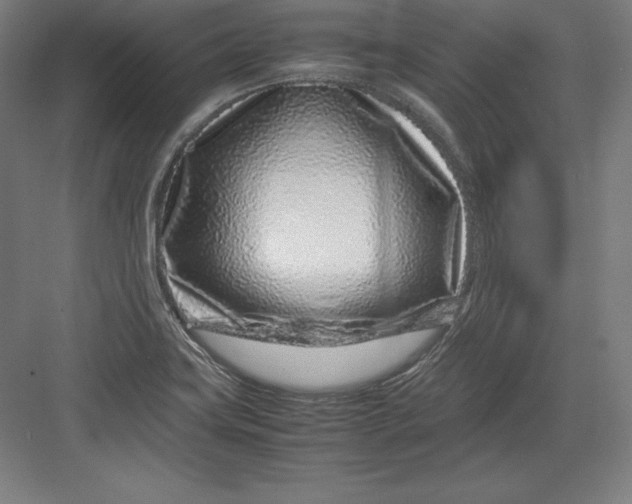X0000082751419200702161948