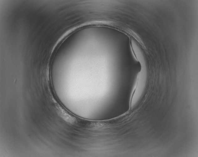 X0000082751420200702161948