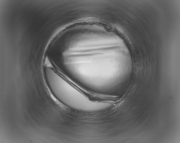 X0000082751421200702161948