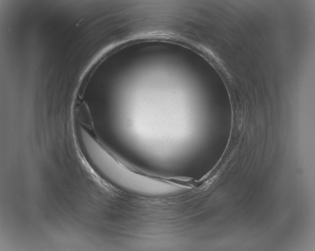 X0000082751422200702161948