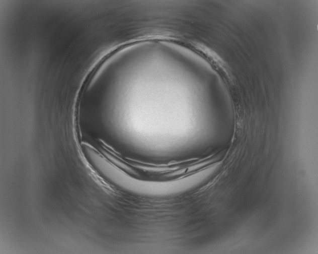 X0000082751423200702161948