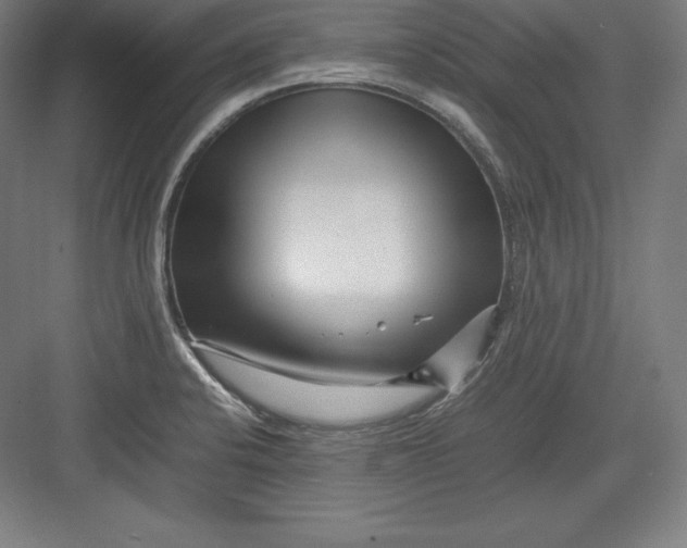 X0000082751424200702161948