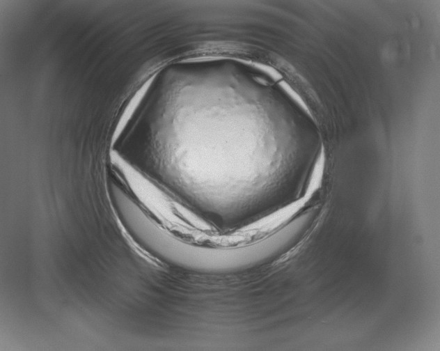 X0000082751425200702161948