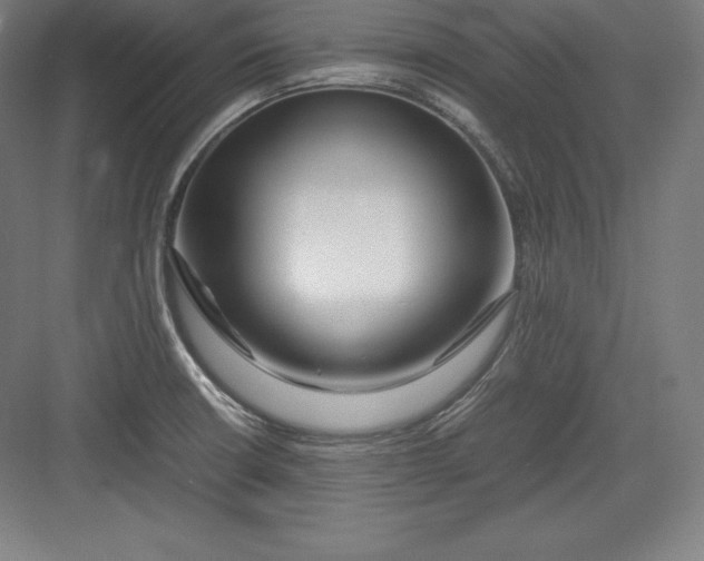 X0000082751426200702161948