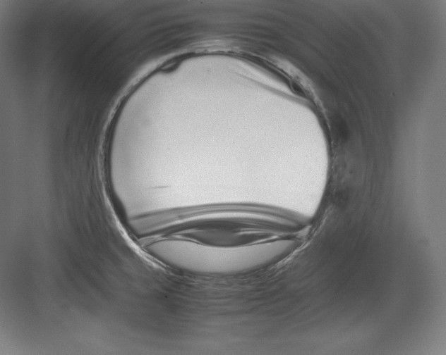 X0000082751429200702161948