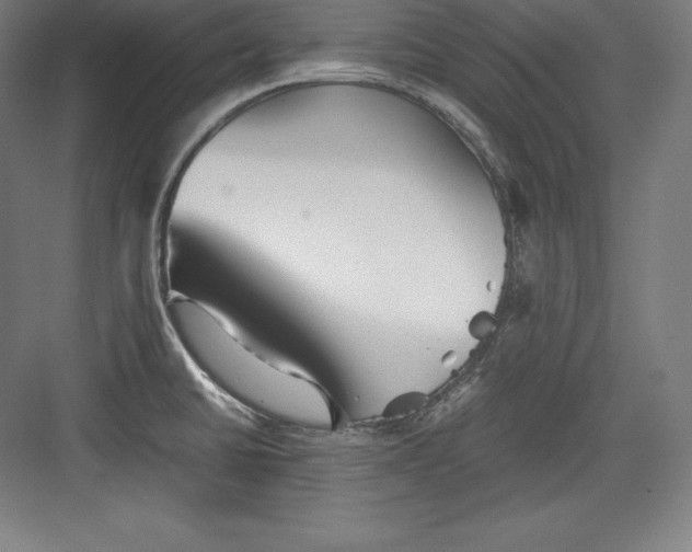 X0000082751430200702161948