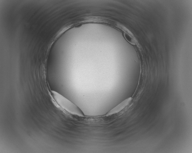 X0000082751433200702161948