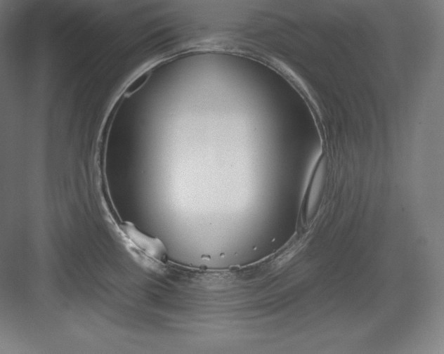 X0000082751434200702161948