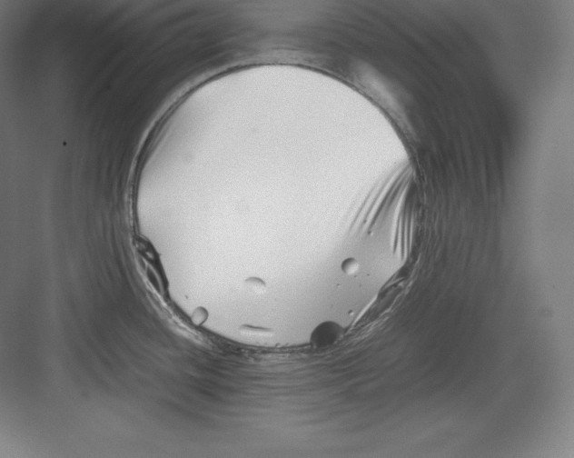 X0000082751436200702161948