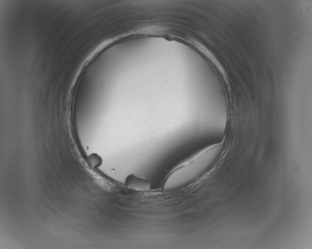 X0000082751437200702161948