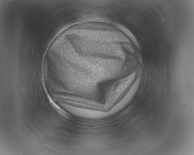 X0000082751439200702161948