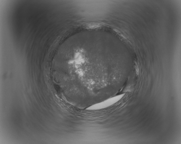 X0000082751441200702161947