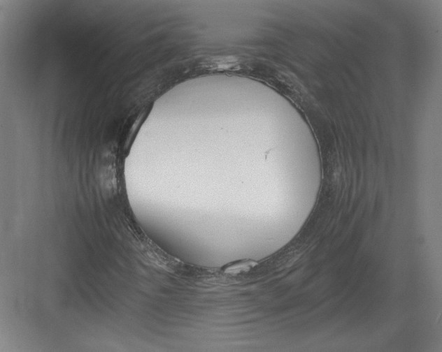 X0000082751442200702161947