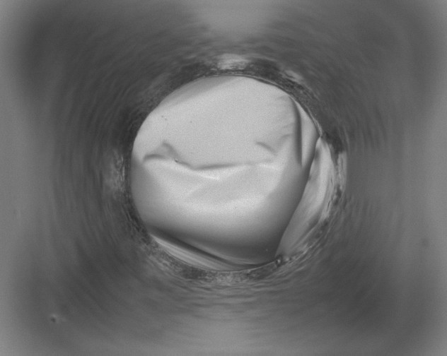 X0000082751443200702161947