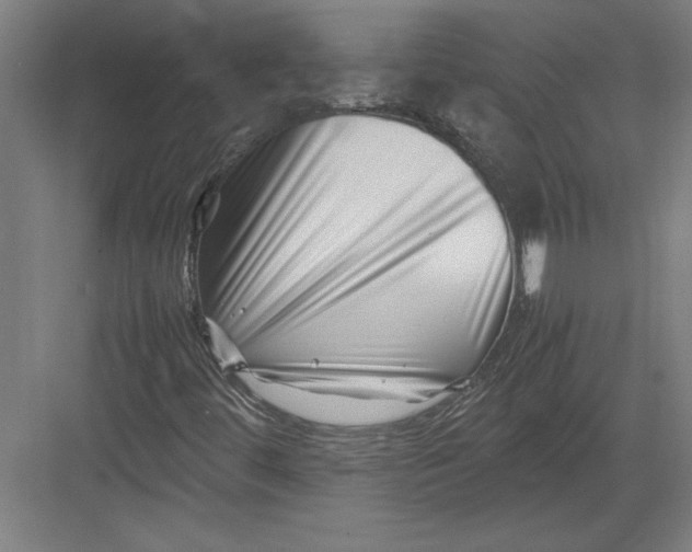 X0000082751444200702161947