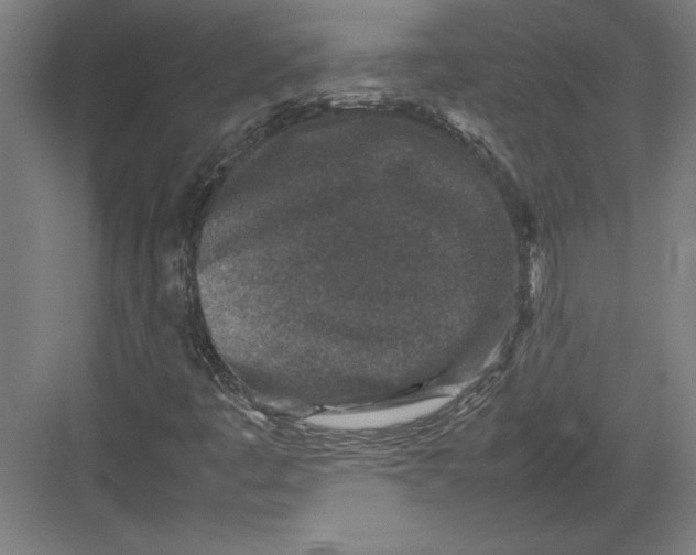 X0000082751445200702161947