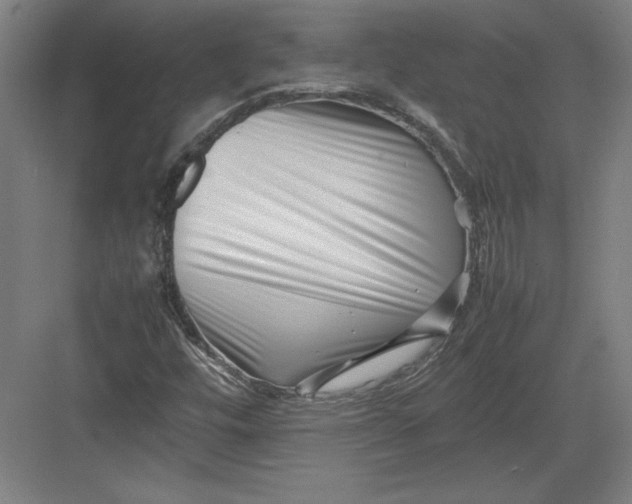 X0000082751448200702161947