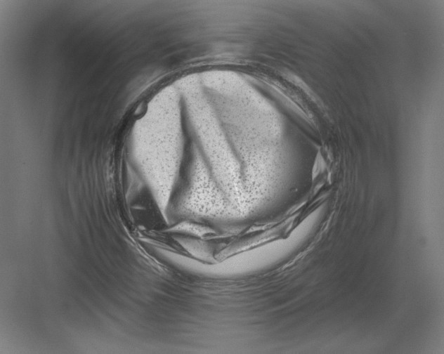X0000082751450200702161947