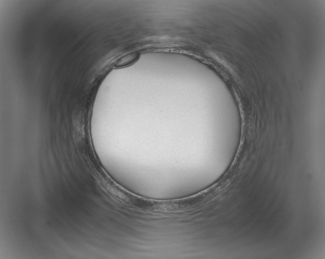 X0000082751451200702161947