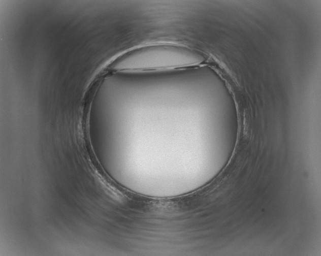 X0000082751452200702161947