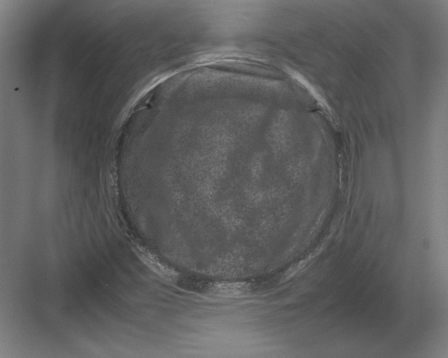 X0000082751453200702161947