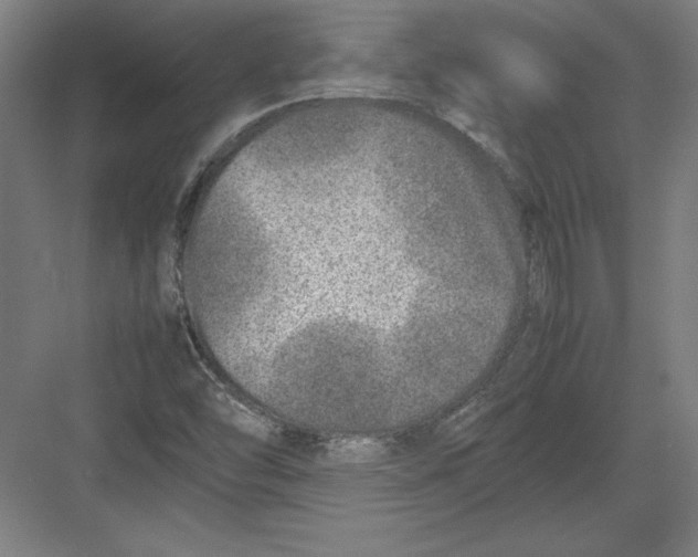 X0000082751454200702161947