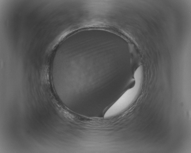 X0000082751455200702161947