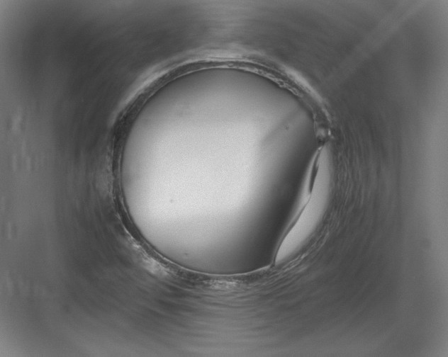 X0000082751456200702161947