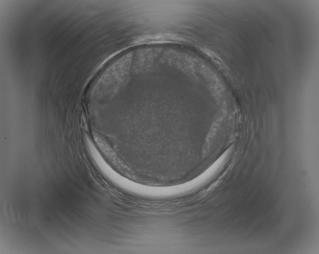X0000082751457200702161947