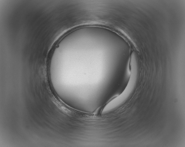 X0000082751460200702161947