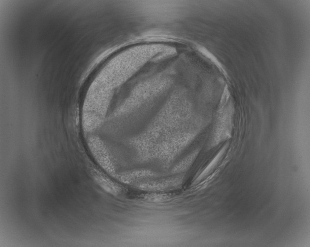 X0000082751461200702161947