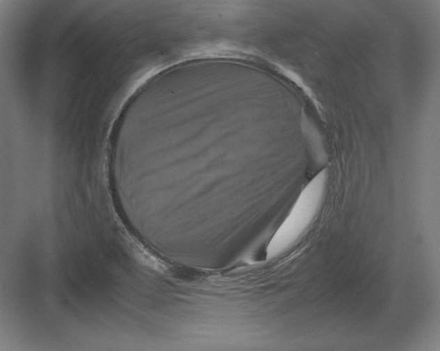 X0000082751463200702161947