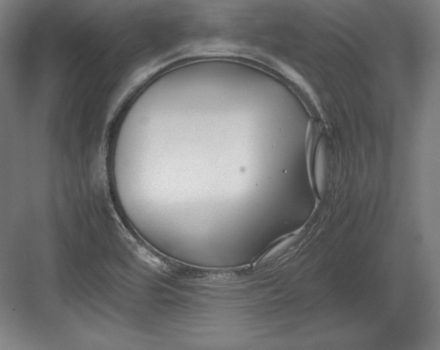 X0000082751464200702161947
