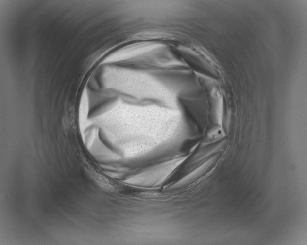 X0000082751465200702161947