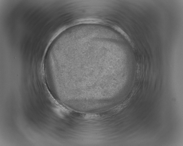 X0000082751466200702161947