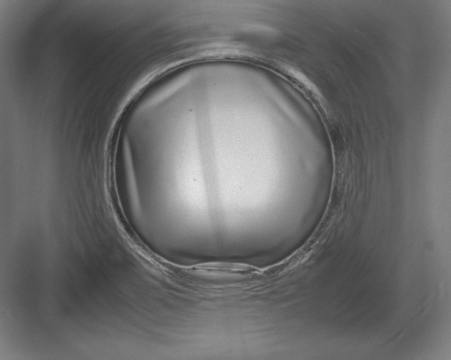X0000082751467200702161947