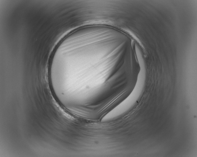 X0000082751468200702161947
