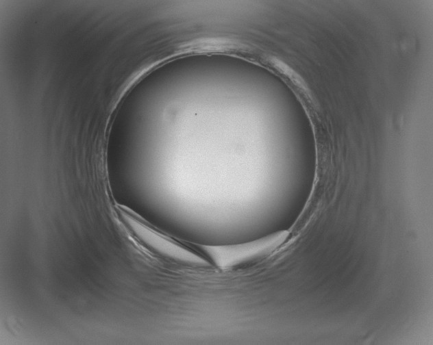 X0000082751473200702161947
