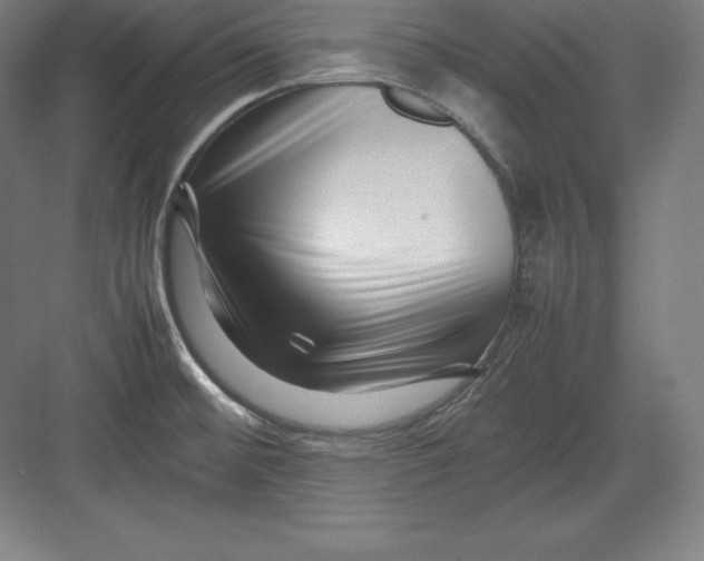X0000082751476200702161947