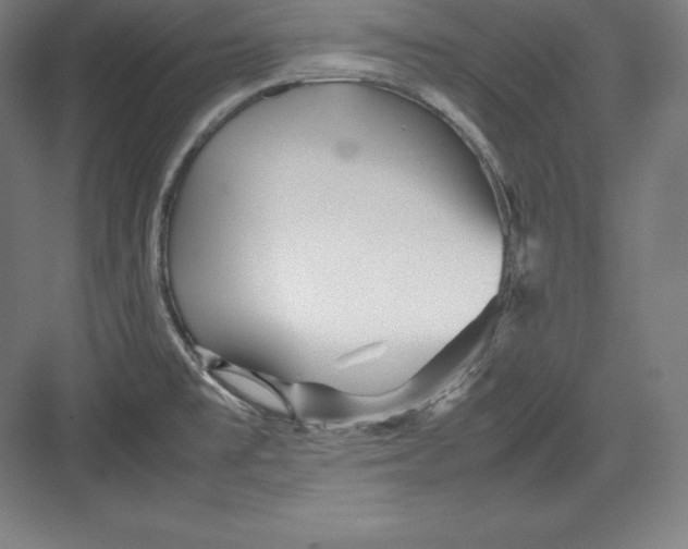 X0000082751477200702161947