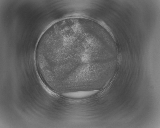 X0000082751482200702161947
